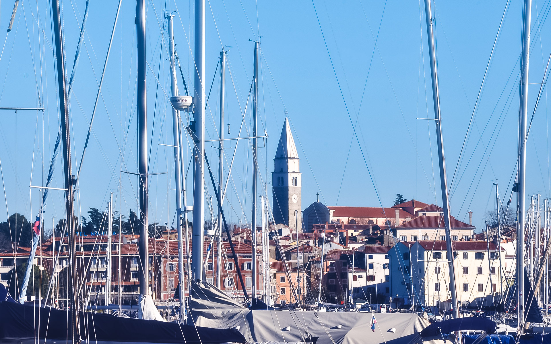 can-izola